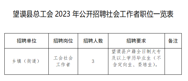 望谟县总工会2023年公开招聘社会工作者